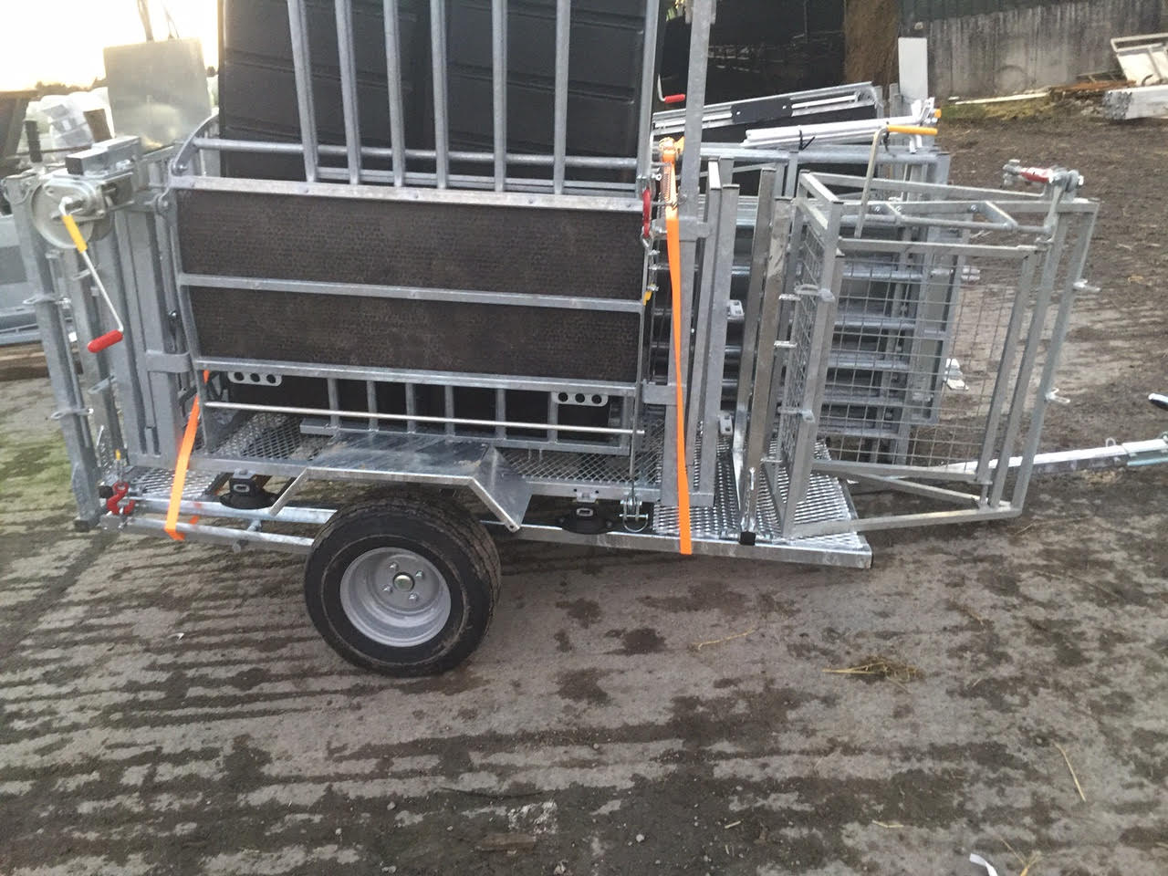 Sheep Equipment